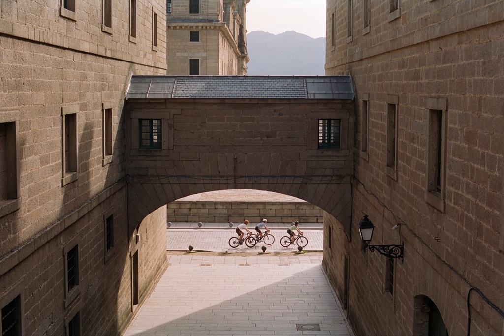 PAS NORMAL STUDIOS Logo Socks